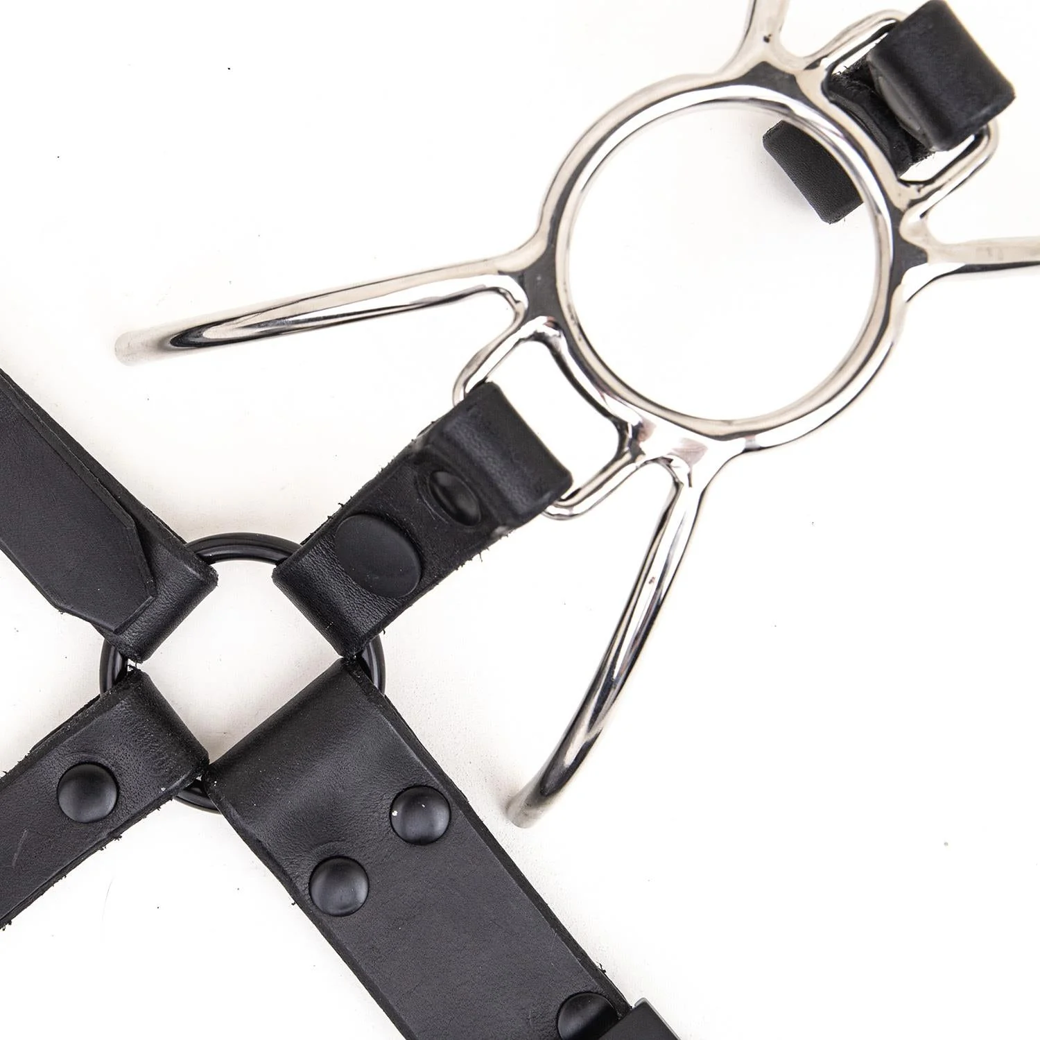 Spider Gag add on for Nose Hook Head Harness - Image 2