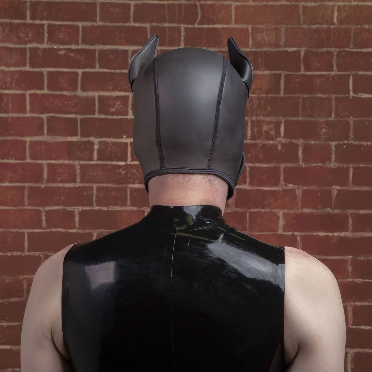 K9 Puppy Hood, Black - Image 3
