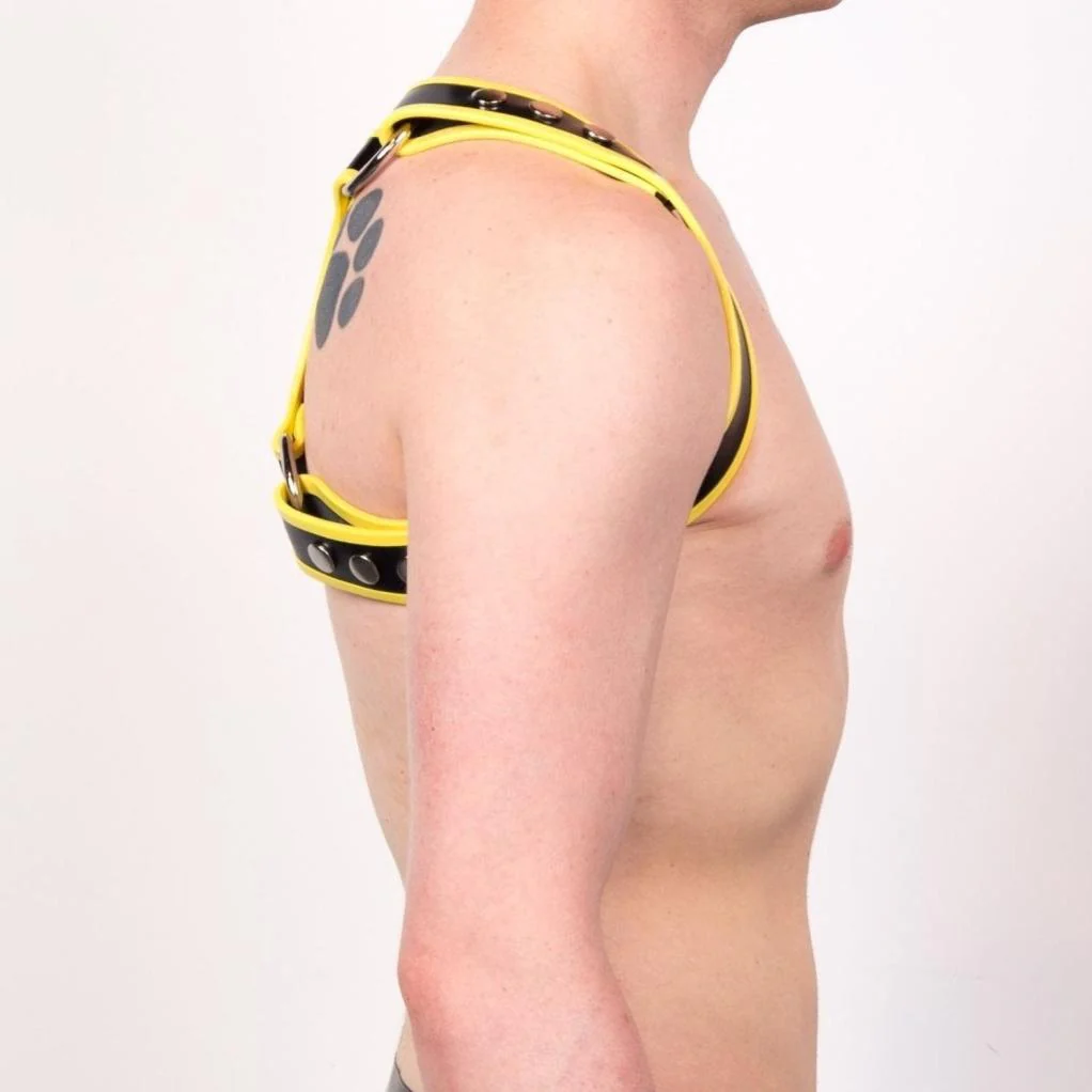 Pincer Harness - Image 4