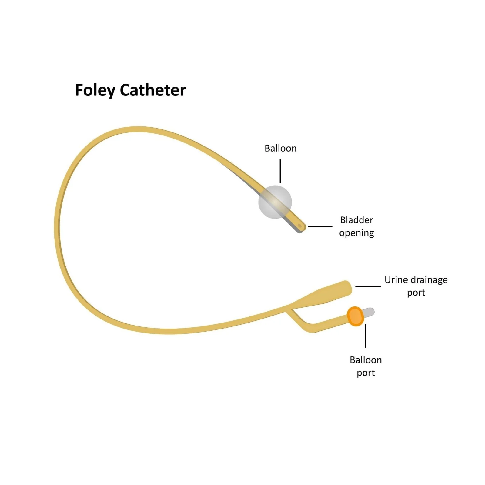 PTFE Aquaflate Urinary Male Balloon Catheter, Latex - Image 6